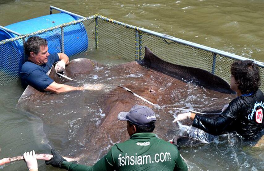 最新海钓视频