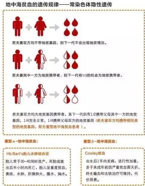 地贫最新疗法重塑治疗格局，突破传统，开启新篇章